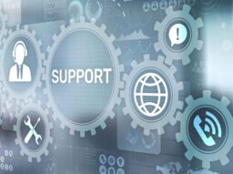 Advanced WordPress Support